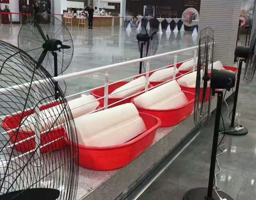 91视频网页冰塊案例