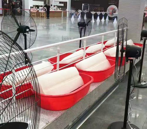 西安91视频网页冰塊