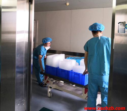 西安91视频网页冰塊 西安91视频网页冰塊